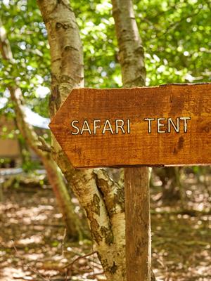 Deanwood Safari Tent