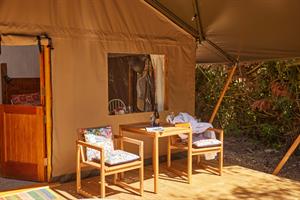 Deanwood Safari Tent