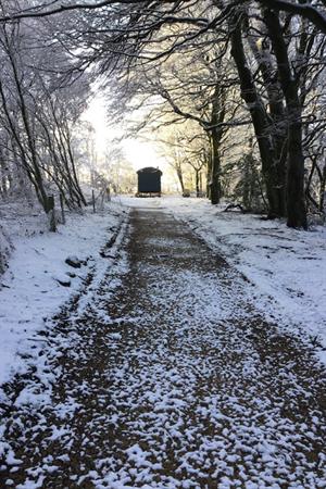 Beechwood Shepherds Hut tracks