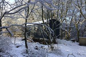 Beechwood Shepherds Hut snow and trees