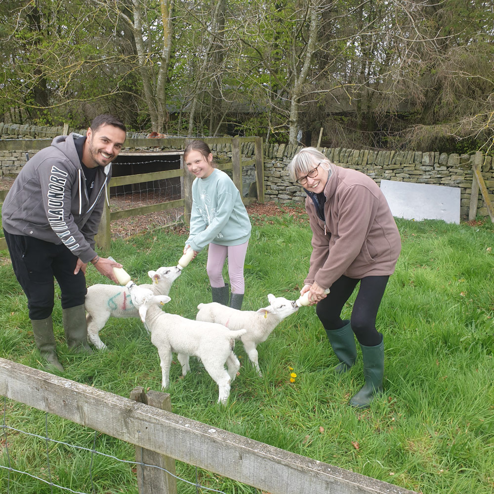 Lamb feeding time